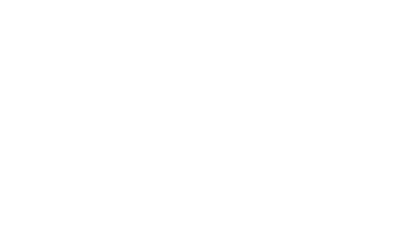 SearchParty Marketing LLC in Seattle, WA | Paid Media & Digital Marketing Agency